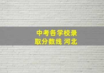 中考各学校录取分数线 河北